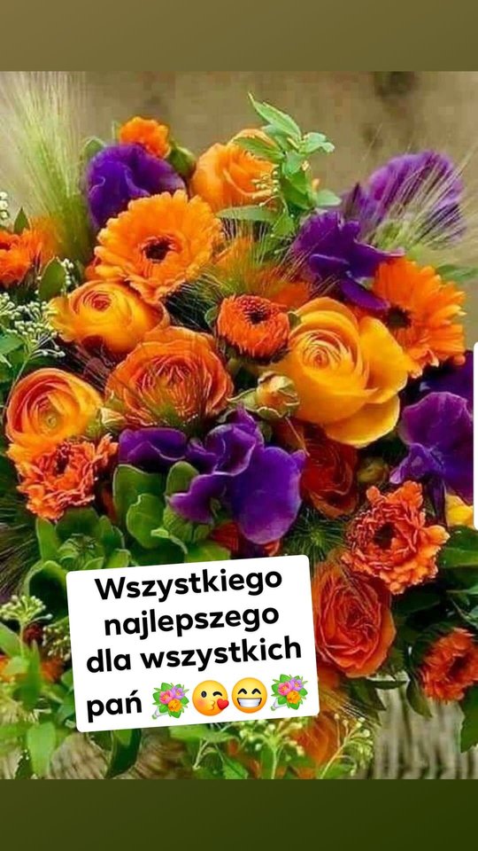 87754956_611890042702305_6128843671975493632_n.jpeg - Nietoperek82