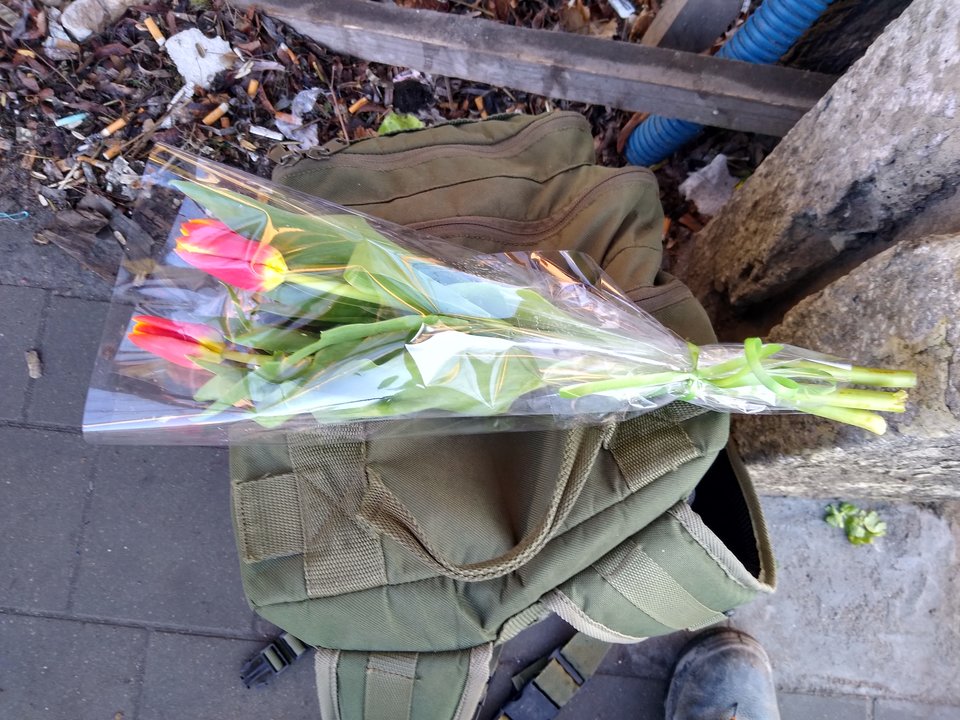 IMG_20200308_075238241_HDR.jpg - rafi07