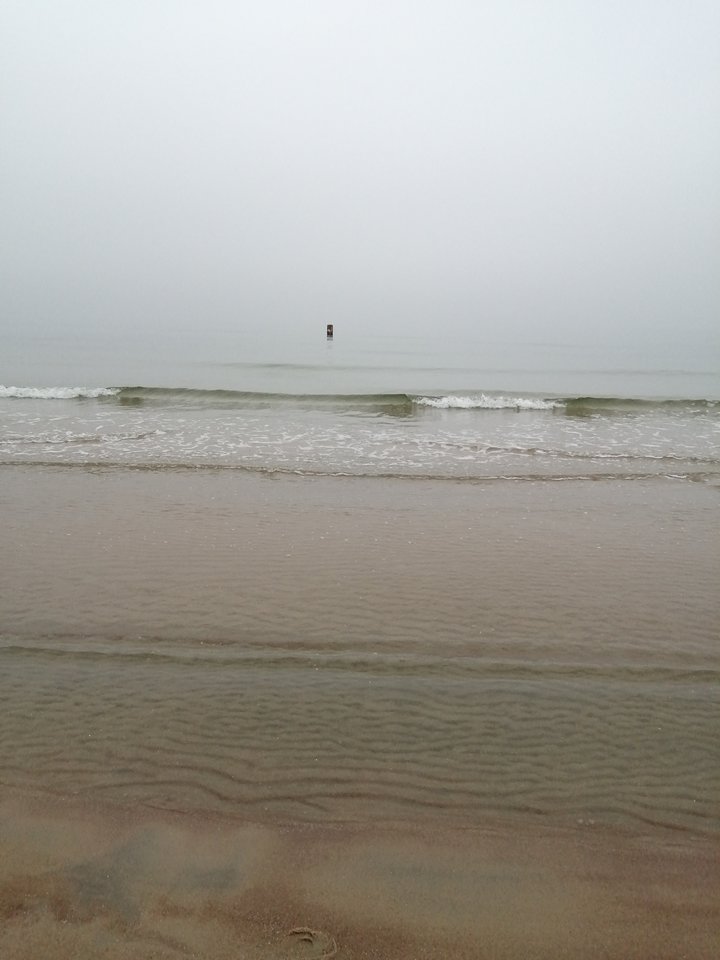 IMG_20200307_163815.jpg - Frelka_ze_wsi