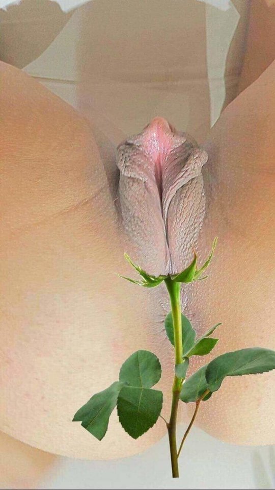 received_2567963970114377.jpeg - wielki3332