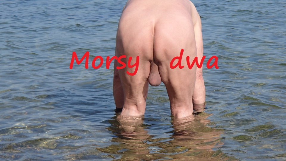 Babie Doły. - Morsy_dwa