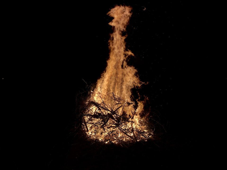 EC4C1F8F-3142-4C2A-B07A-D70BE4899FAA.jpeg - majur