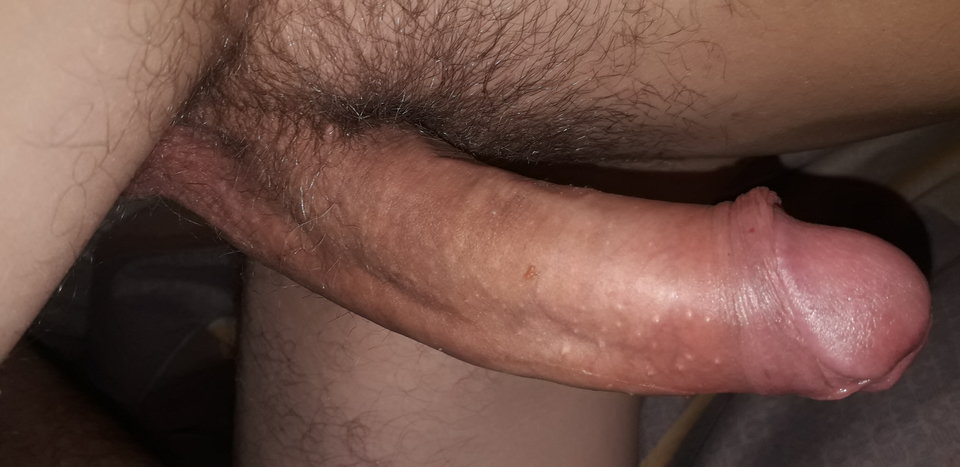 20200311_011336.jpg - Motyl8888