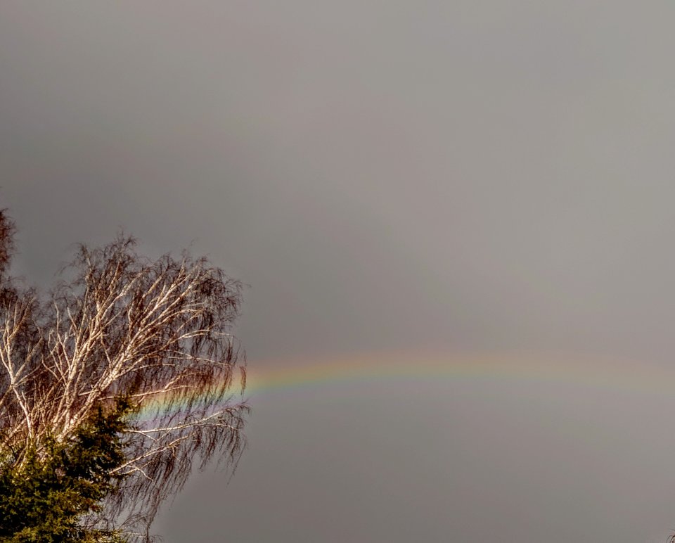 Nawet najbardziej szary smutny dzień... - BOBUS2009