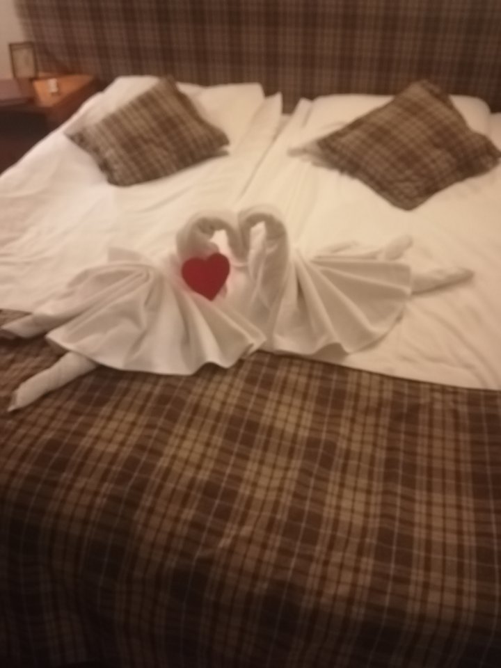 IMG_20200214_172921.jpg - lukola