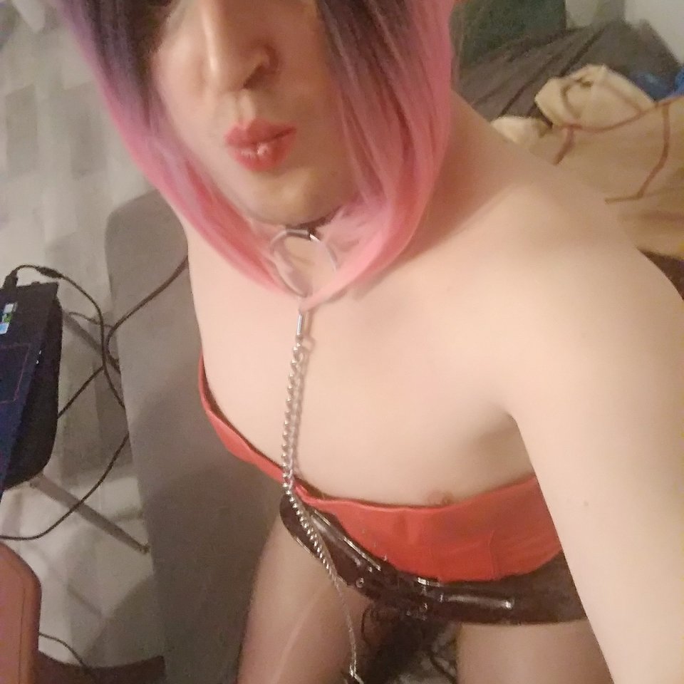 IMG_20200314_052351.jpg - Suczka_EsteraTV