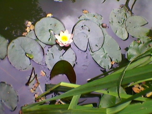 SP_A0058.jpg - ParaWawa85d