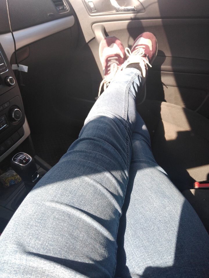 15841850542771037350800979718666.jpg - Palciusia