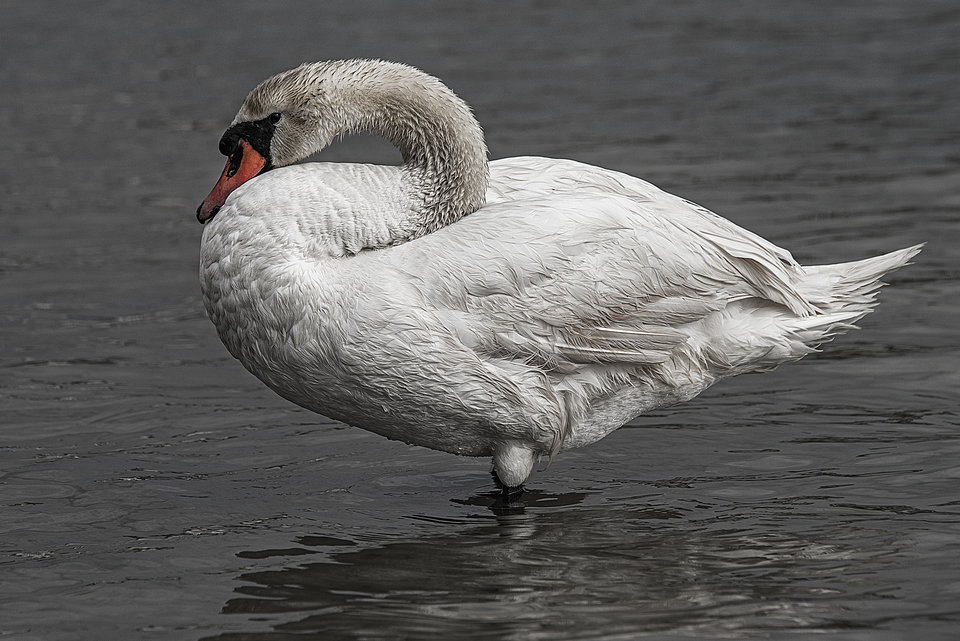 Po kąpieli - mystic