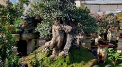 ❤️❤️❤️🇪🇸🇪🇸