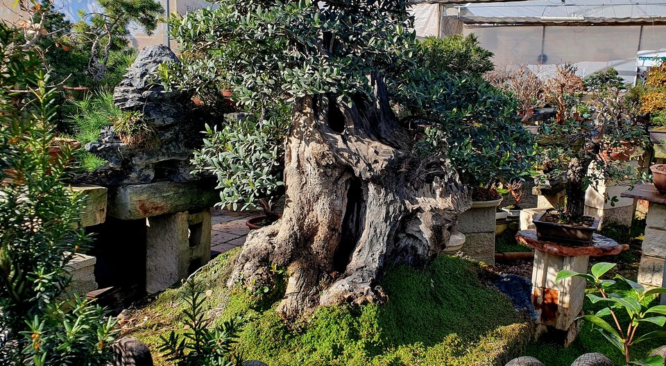 ❤️❤️❤️🇪🇸🇪🇸 - Adminki