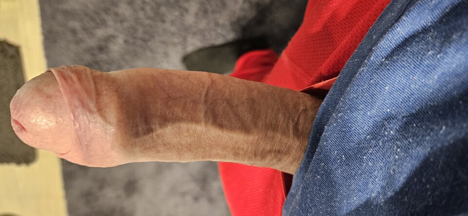 20231219_080341.jpg - adam1508