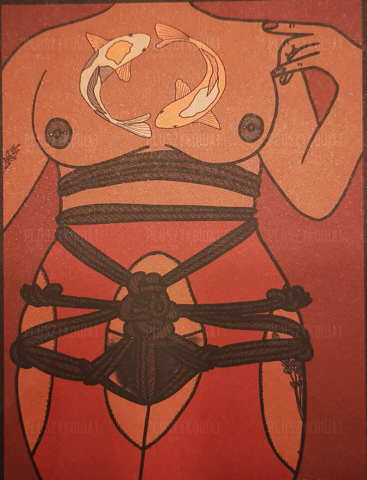 IMG_20231219_194317.jpg - Pluszykowa1