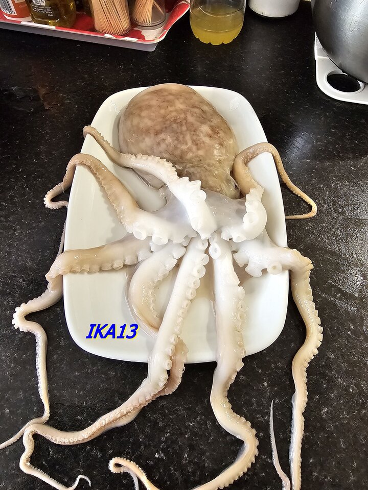 20231223_133004.jpg - ika13