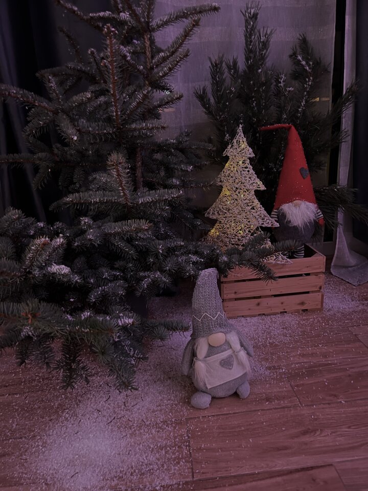 IMG_1705.jpeg - Are_there_impossible_things