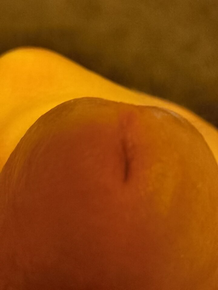 1703458679568.jpg - Mabakol