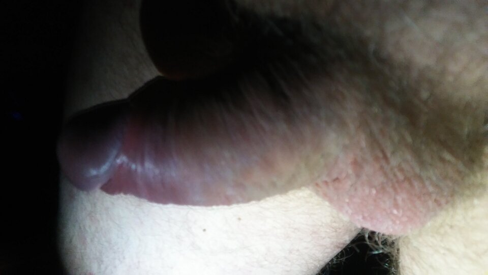 20231224_002317.jpg - pawelik334