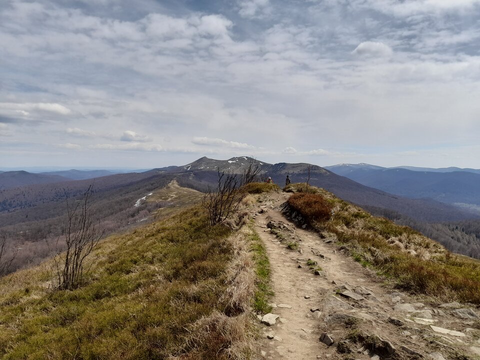 20230429_131408.jpg - Efemeryczni_Oni