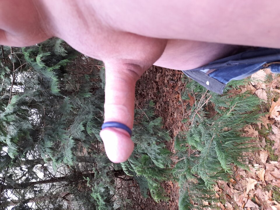 17039345802572445828059952839207.jpg - hej34