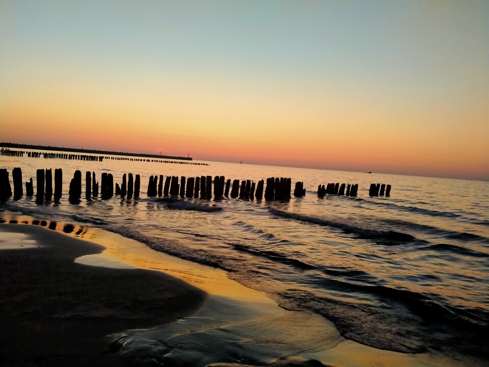 1000002069.jpg - SMINT37