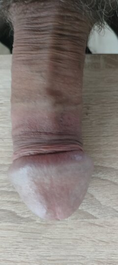 17042011412381497732475954739066.jpg