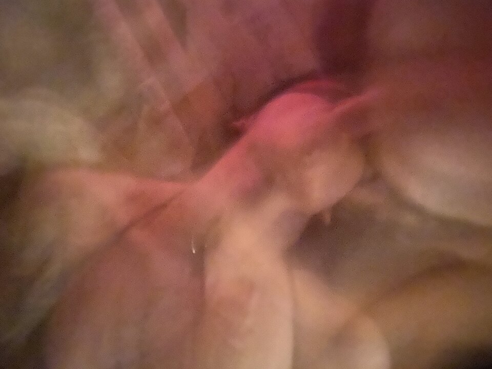 72584962521__B1AC432A-1A15-4F92-BFCC-263D90324BAF.jpeg - Ostrapara4330