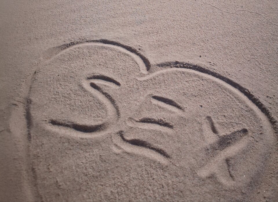 IMG_20240105_090754.jpg - Lion18