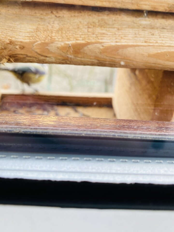 IMG_7920.jpeg - May_Day