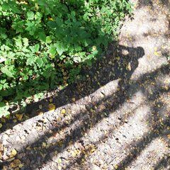 20230921_144050.jpg