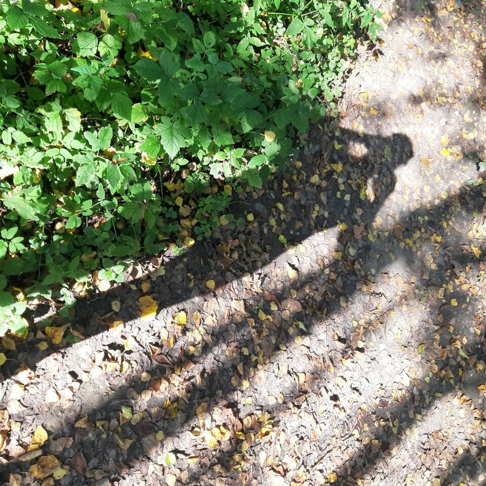 20230921_144050.jpg - Ali70plus
