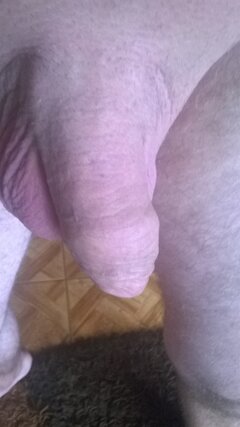 WP_20210728_14_55_35_Pro.jpg