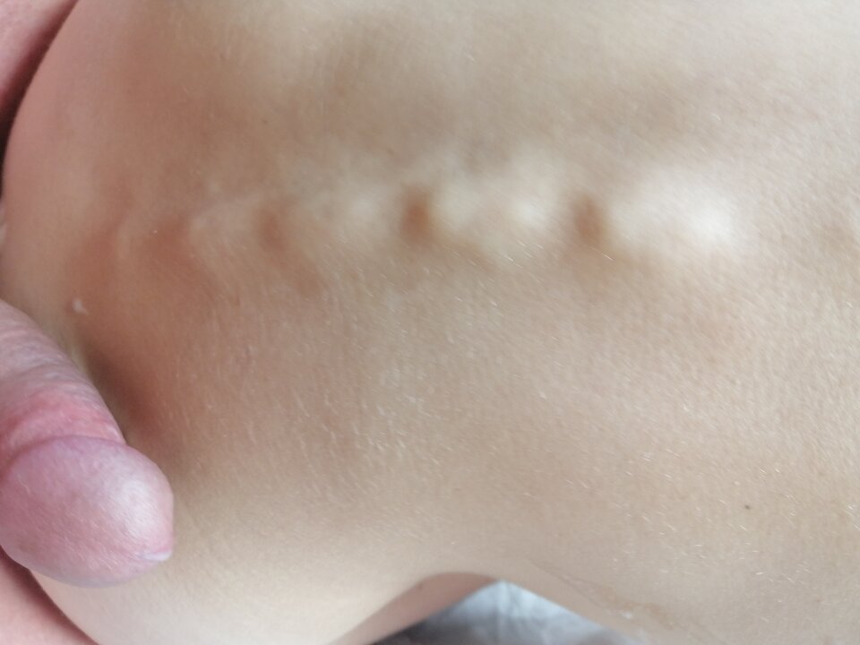 IMG_20200825_133300.jpg - 2017ONI