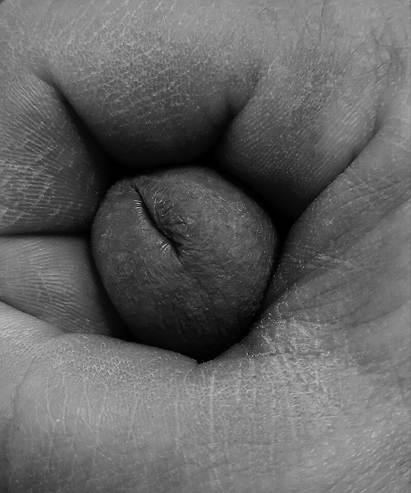 Polish_20240108_130730793.jpg - Andrzejek_72