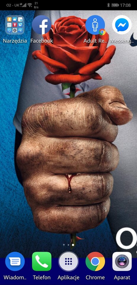 Screenshot_20190127_170829_com.huawei.android.launcher.jpg - jab99