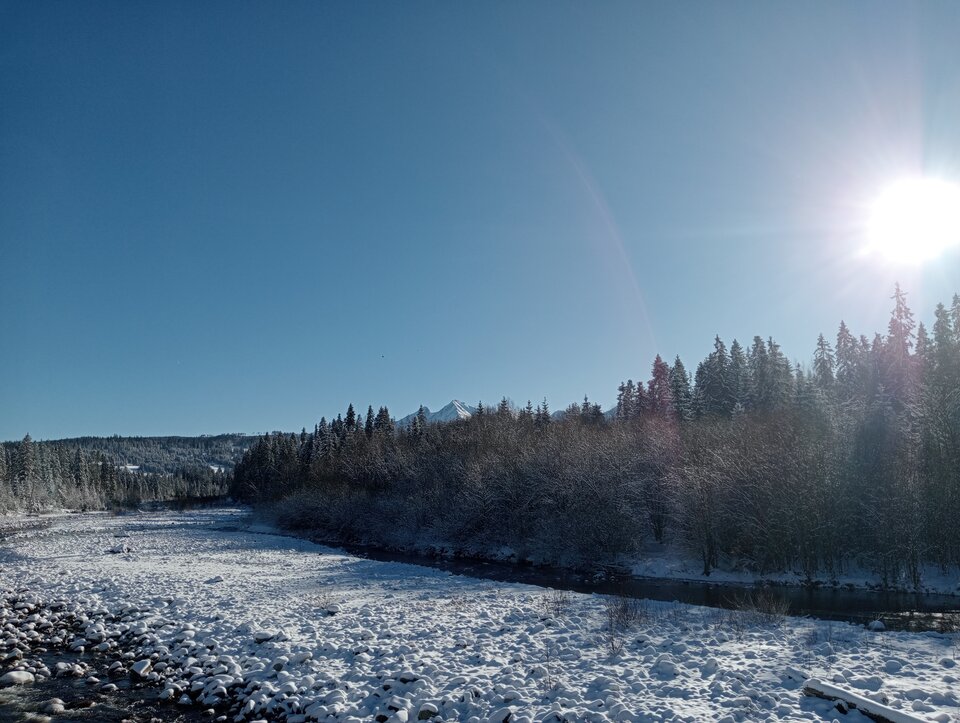 IMG20240109122823.jpg - tropiciel123