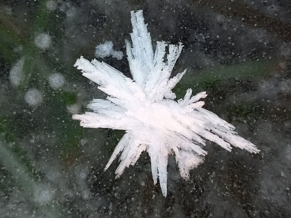 IMG20240110154017.jpg - jaca82