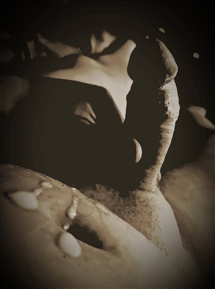 IMG_20240110_002552.jpg - Podgladacz9999