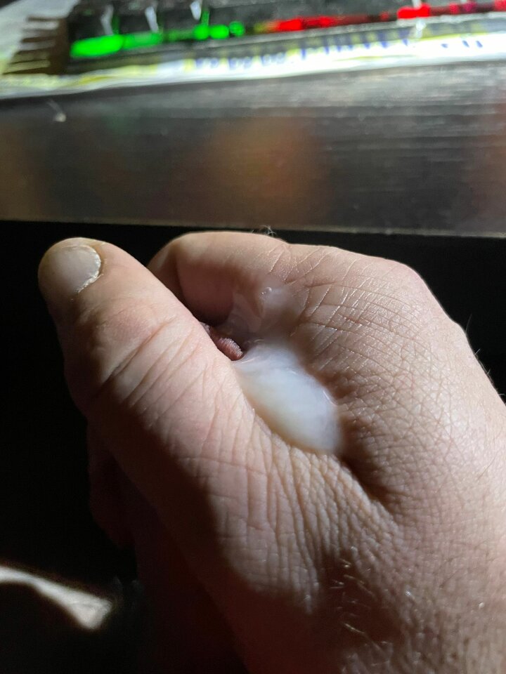 358321431_1510110573129631_8232331958242074419_n.jpg - malenkaaga