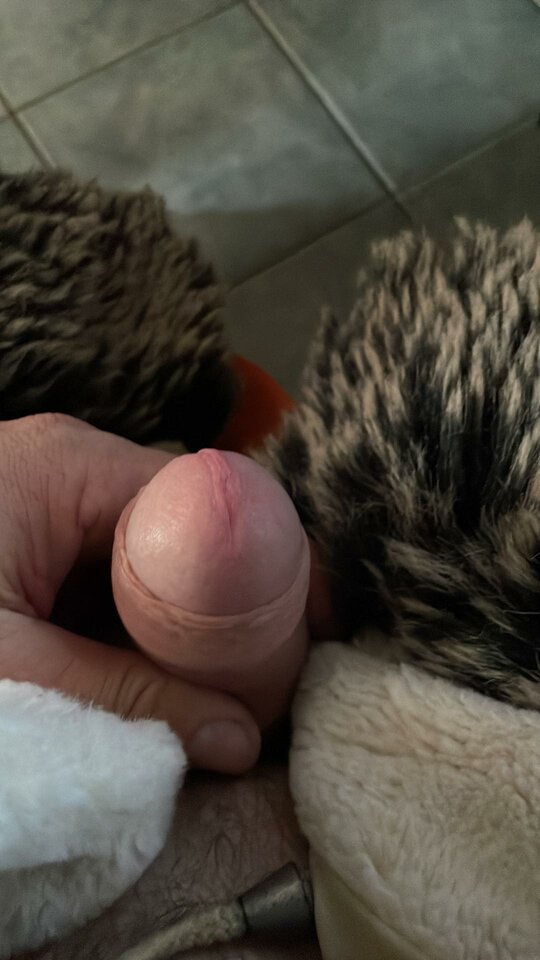 364220896_1338434100360669_258562904104867899_n.jpg - malenkaaga