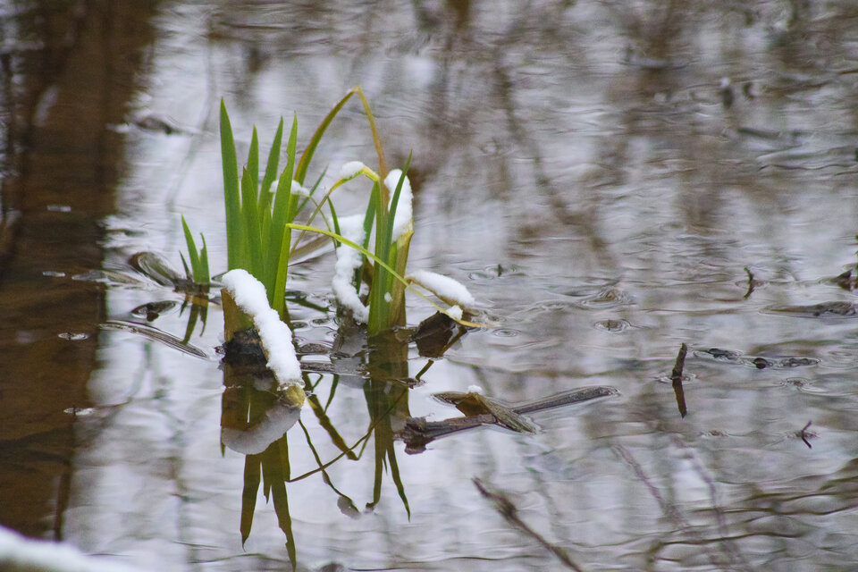 _MG_5706.jpg - EdekP