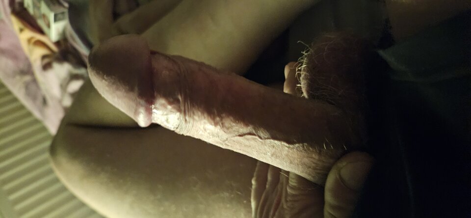 1000018369.jpg - TomekMisiek12345