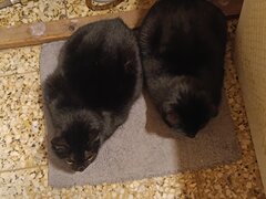 IMG_20231231_204358.jpg