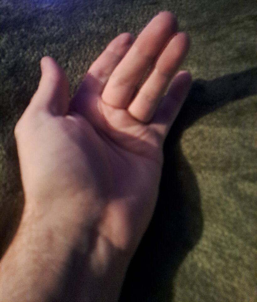 20240113_201819.jpg - Reciente