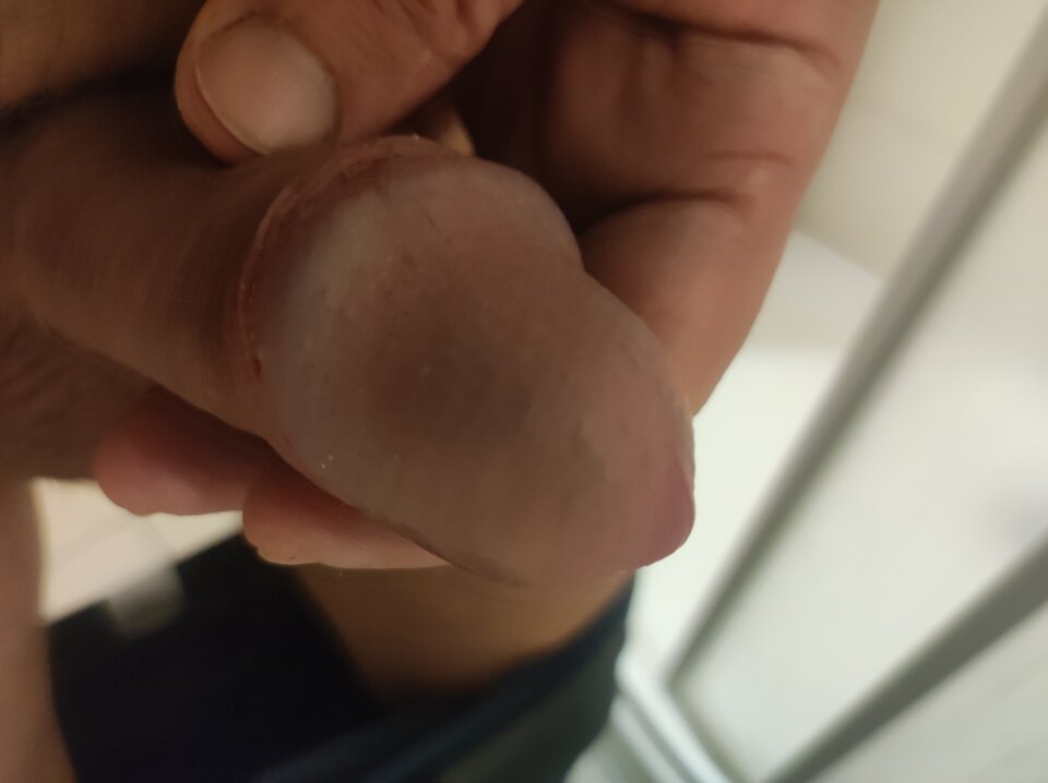 IMG_20240114_152717.jpg - Johny19999