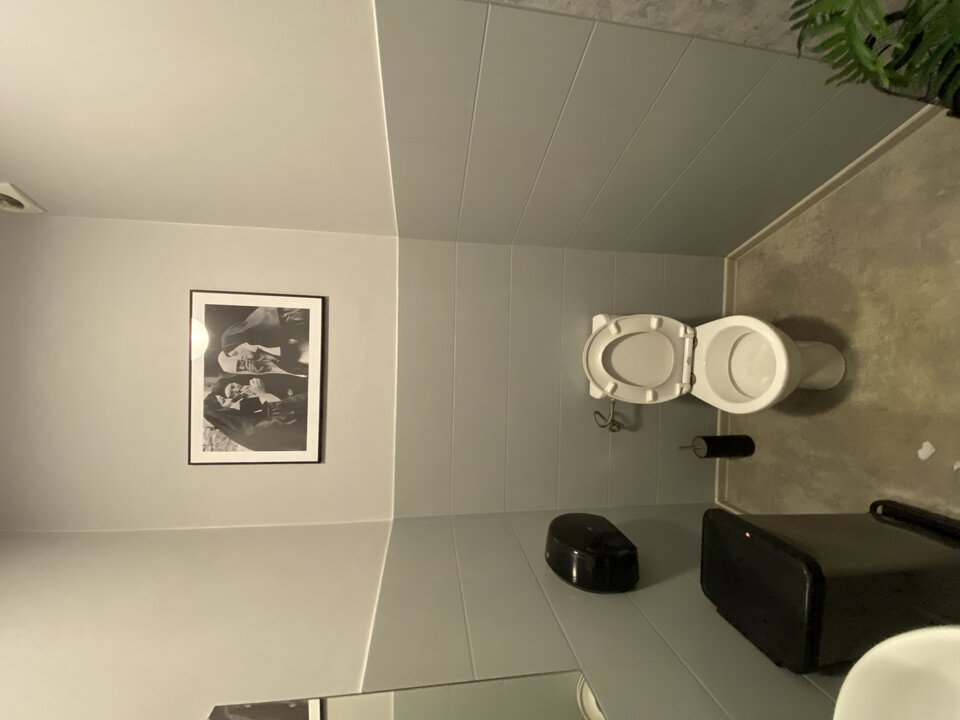IMG_3902.jpeg - BoskiRafaello
