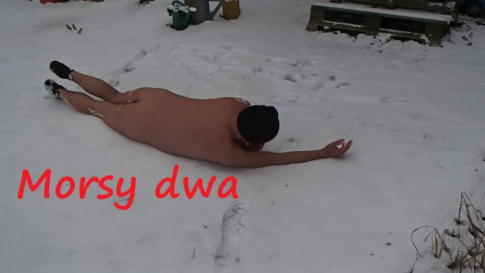 Zima. - Morsy_dwa