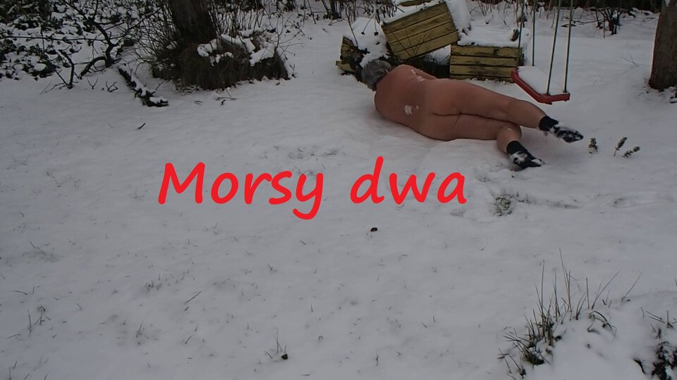 Zima. - Morsy_dwa