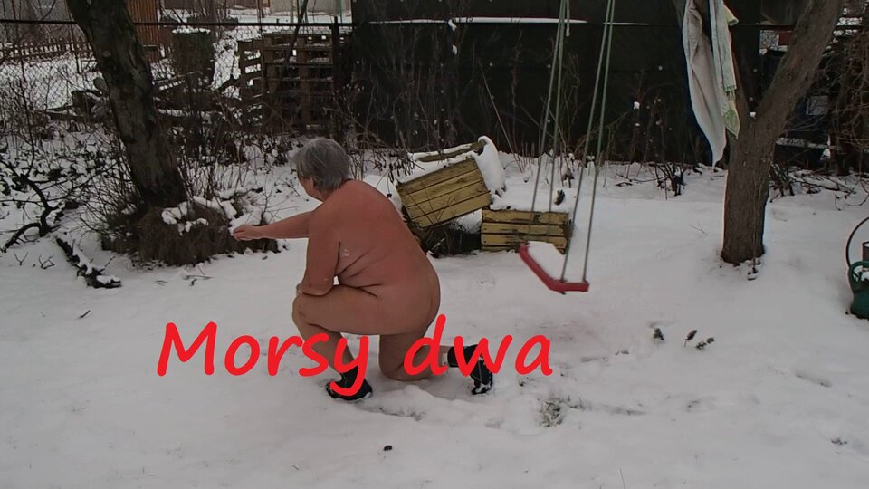 Zima. - Morsy_dwa