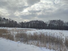 IMG_20240112_113050.jpg
