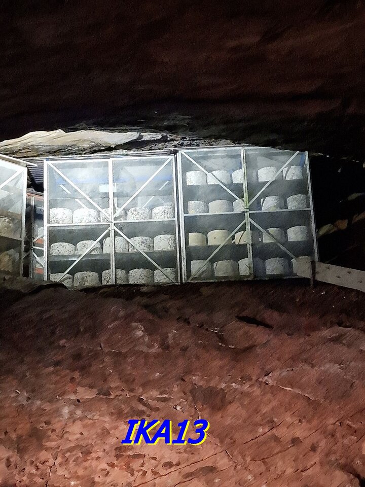 20231015_111936.jpg - ika13